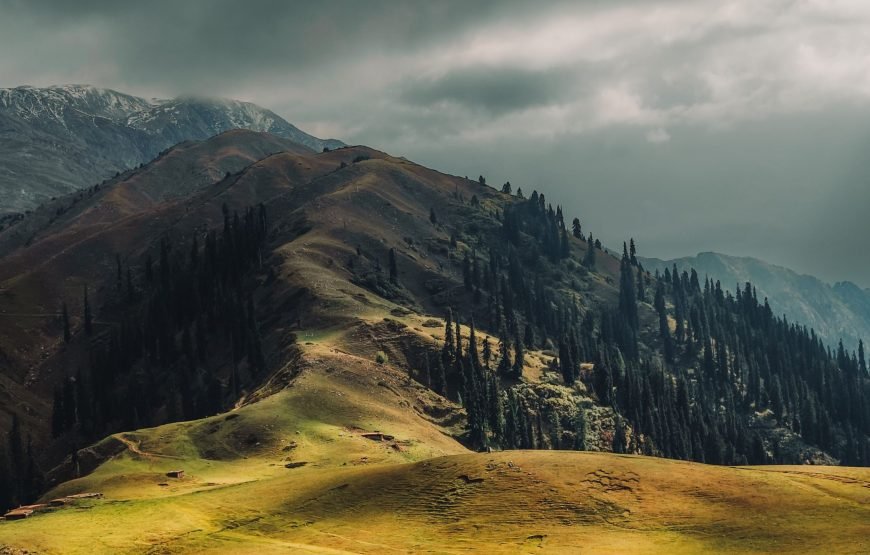 Best Naran Tour Package | 4 Days  Naran Kaghan Valley Tour