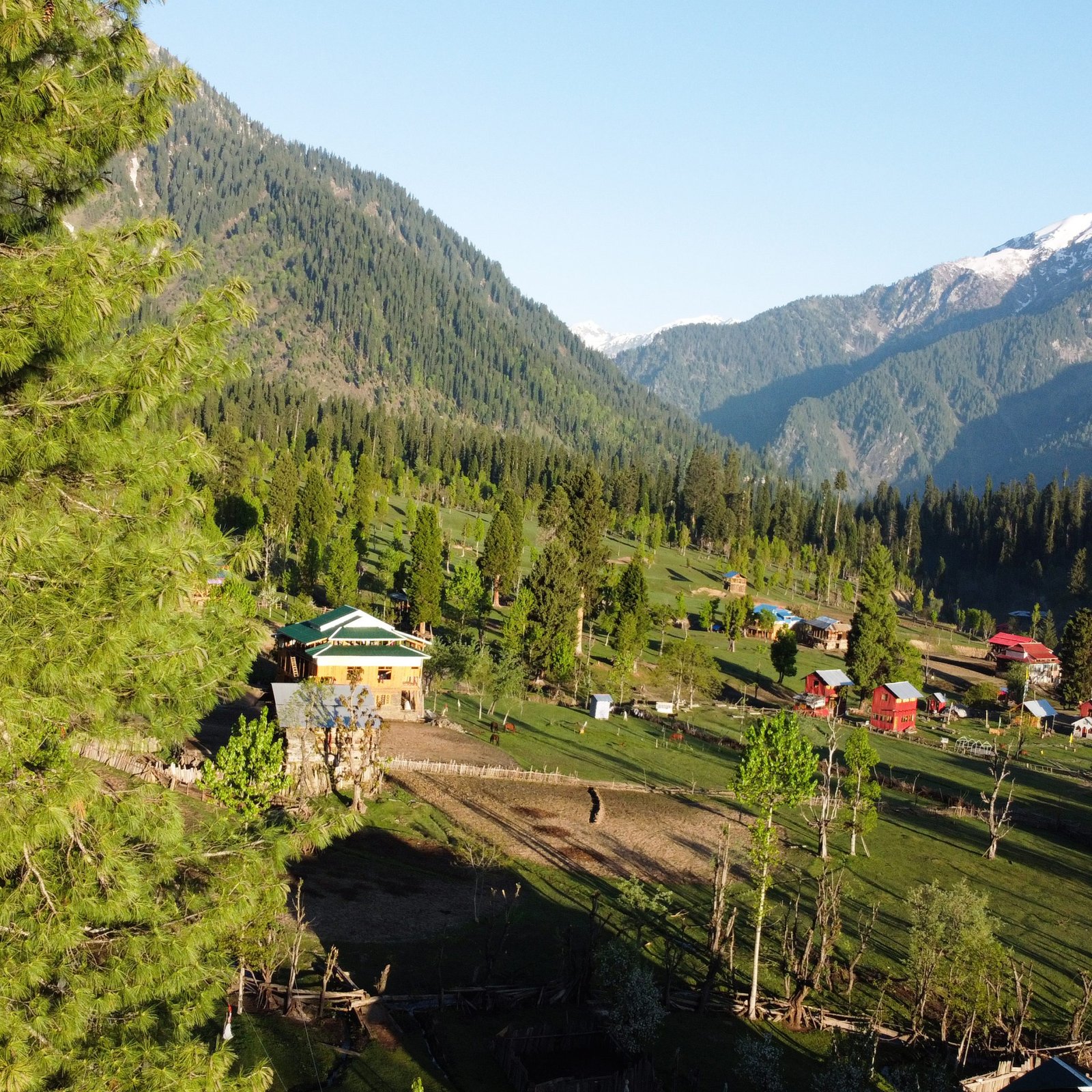 Kashmir