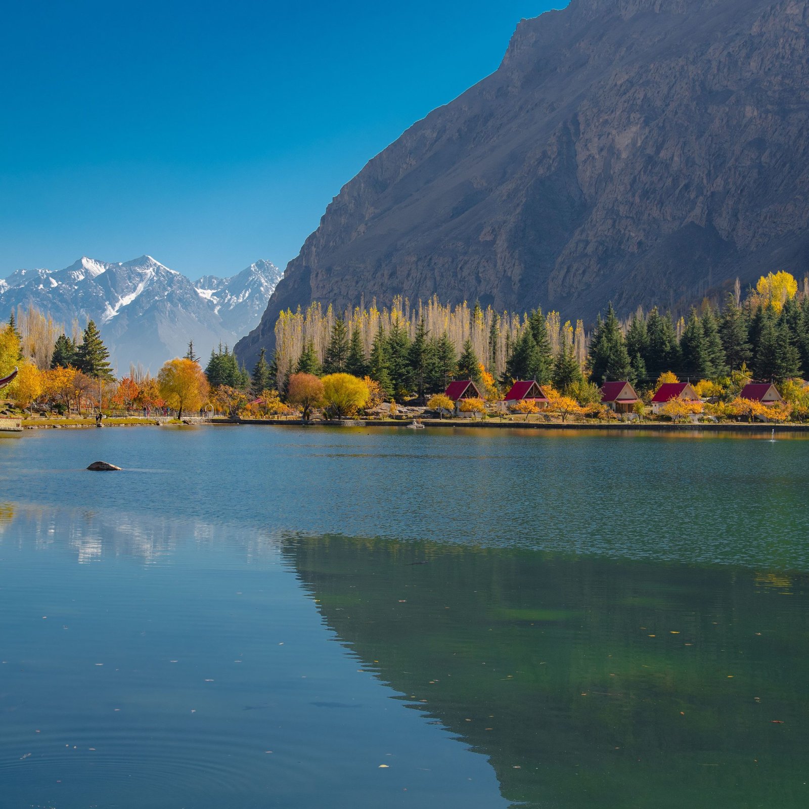 Precious Pakistan