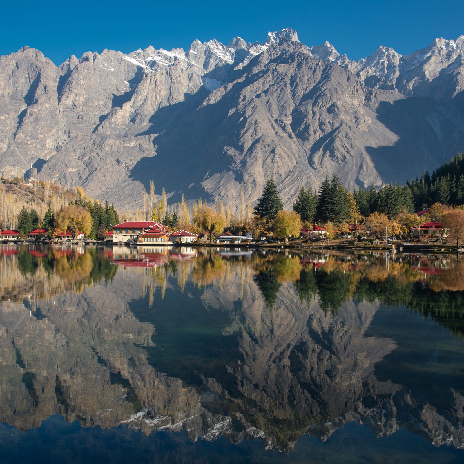 Precious Pakistan